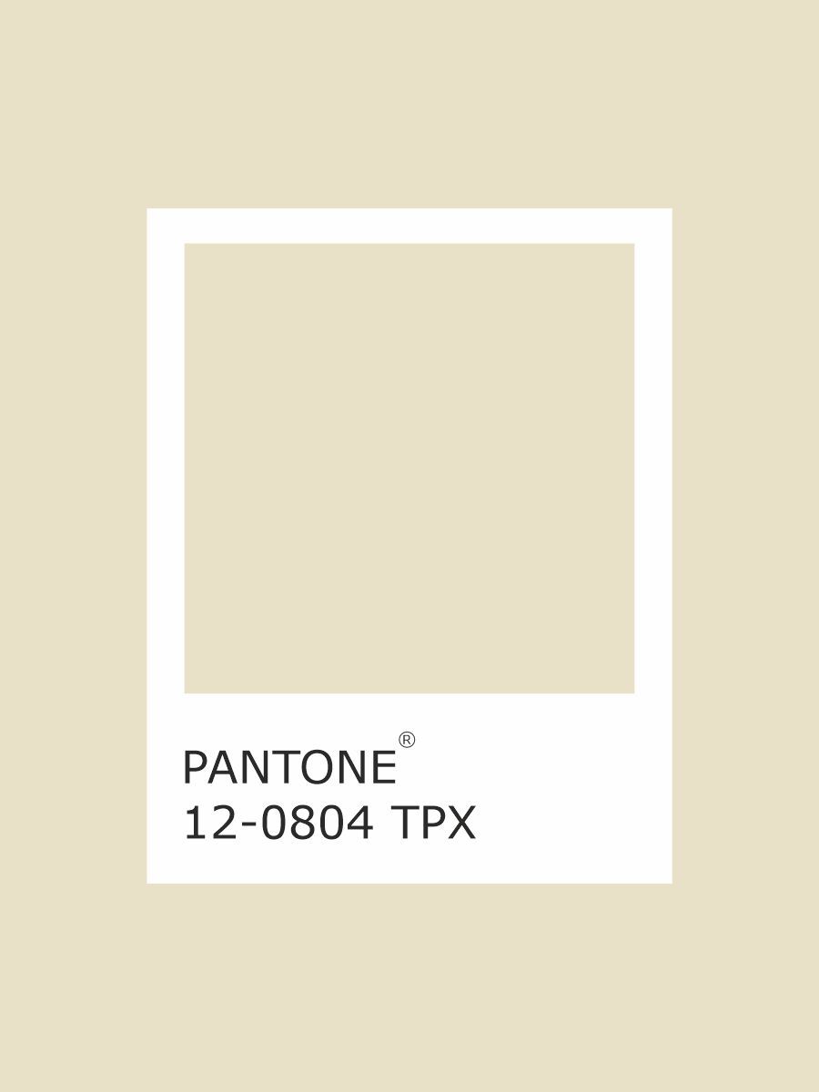 Вуаль берет молочный 000452 р-р 56-57